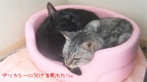 DSCF1236s デリカシーに欠ける男ふたり。