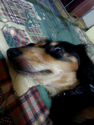 DSC_0066 DSC_0066.JPG