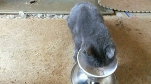 DSCF1841 DSCF1841.JPG